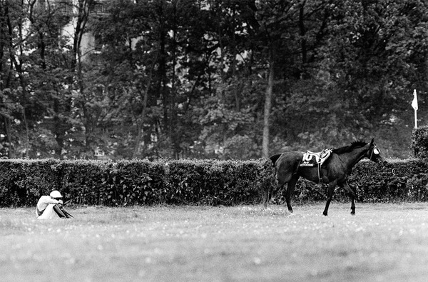 Riderless Horse - Racetrack Frankfurt/Niederrad, 1988 Pferd ohne Reiter.jpg